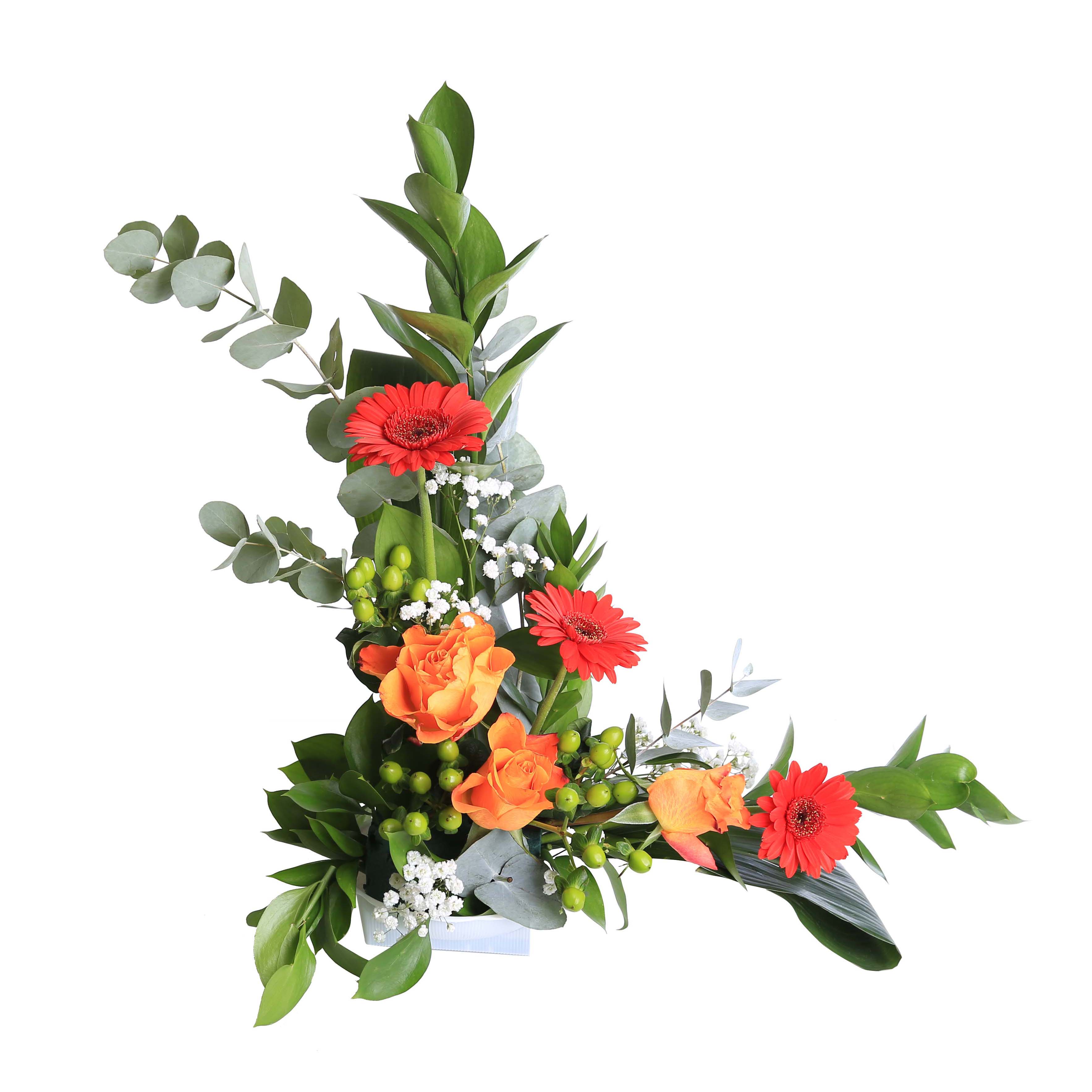 Triangle Red and Orange